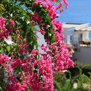 Aparthotel Aktur
